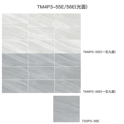 TM4P3-55E和56E（光面）